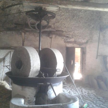 Agriturismo Frantoio Mafrica Limbadi 外观 照片