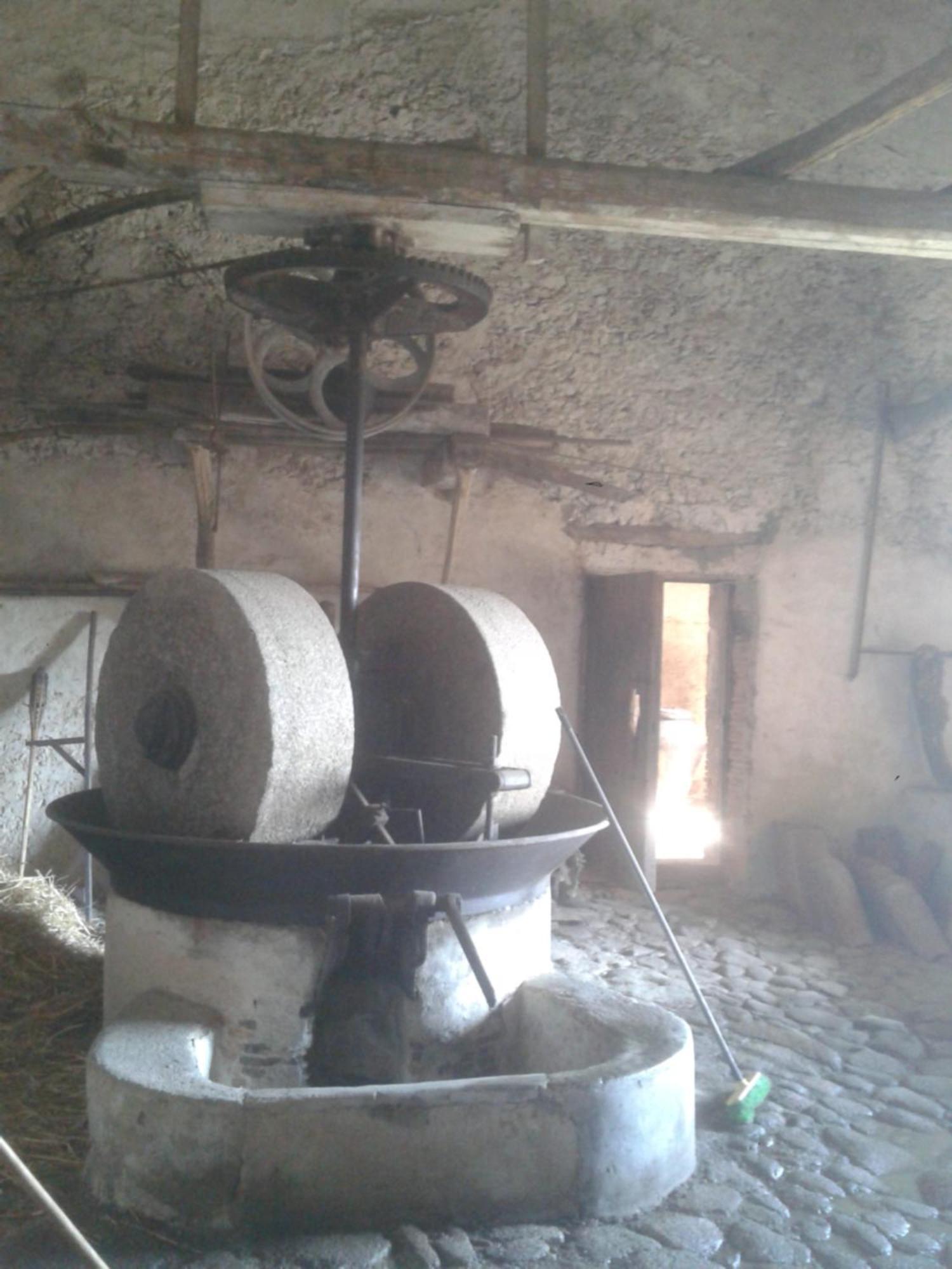 Agriturismo Frantoio Mafrica Limbadi 外观 照片
