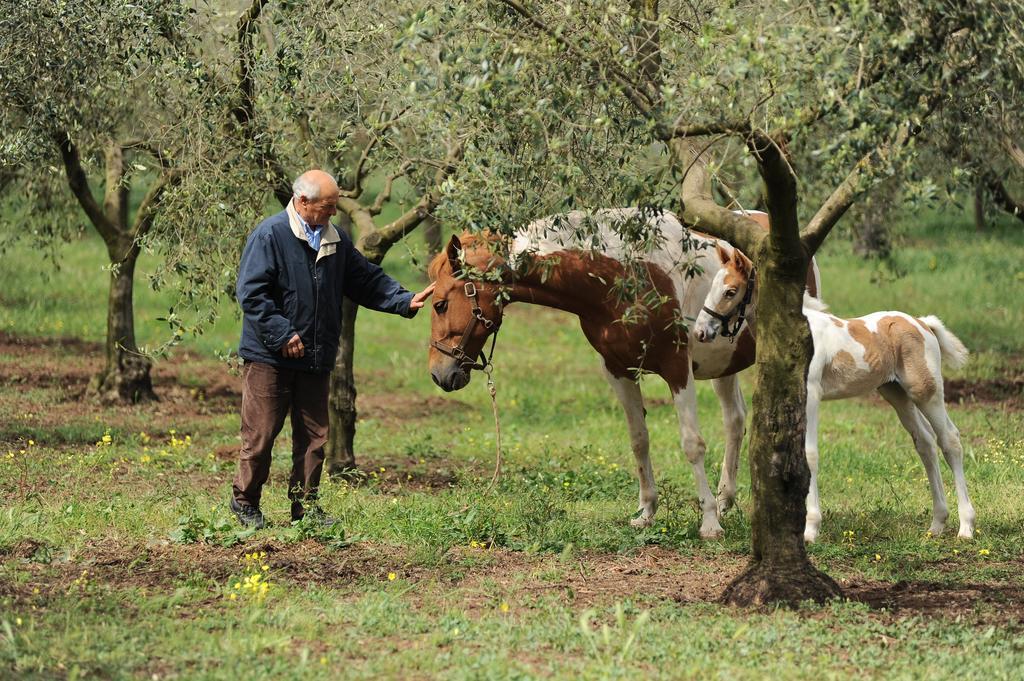 Agriturismo Frantoio Mafrica Limbadi 外观 照片