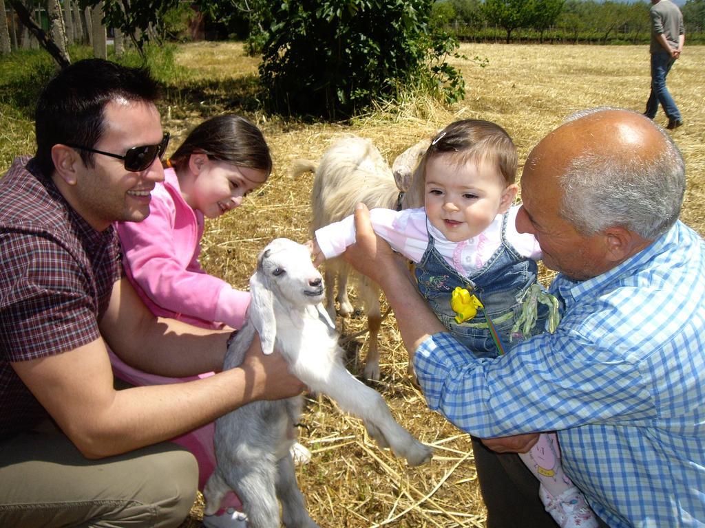 Agriturismo Frantoio Mafrica Limbadi 外观 照片