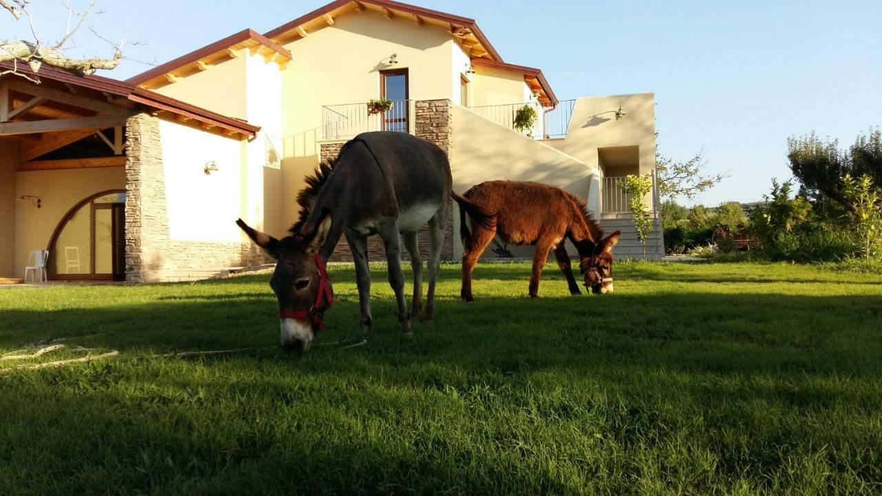 Agriturismo Frantoio Mafrica Limbadi 外观 照片